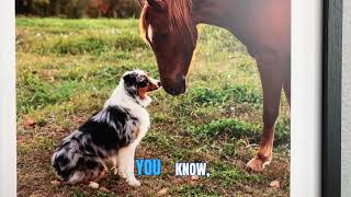 Honoring Pets Like Family | Cherished Pets (Springfield, MO)