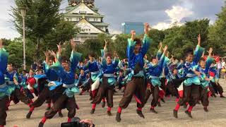 第18回こいや祭り 神戸学生よさこいチーム湊 大阪城天守閣前会場