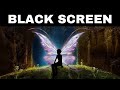 Relaxing Music for Sleeping | ENCHANTED FOREST | Black Screen Sleep Music