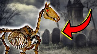 Is This $199 Skeleton Horse From Home Depot Actually as NICE as they say?