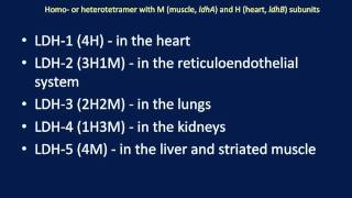 LDH Minilecture for BioLEd Kinetics Module