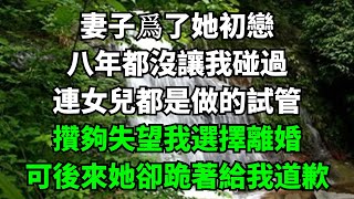 妻子爲了她初戀，八年都沒讓我碰過，連女兒都是做的試管，攢夠失望我選擇離婚，可後來她卻跪著給我道歉【淺談夕陽下】#圍爐夜話#花開富貴#爽文#落日溫情#閱讀茶坊#情滿夕陽#深夜淺讀