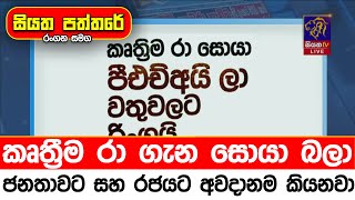 කෘත්‍රීම රා ගැන සොයා බලා ජනතාවට සහ රජයට අවදානම කියනවා