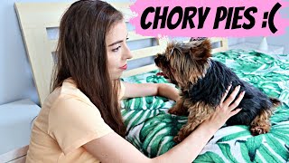 CHORY PIES I CO U MNIE SŁYCHAĆ I GlamPaula Vlog