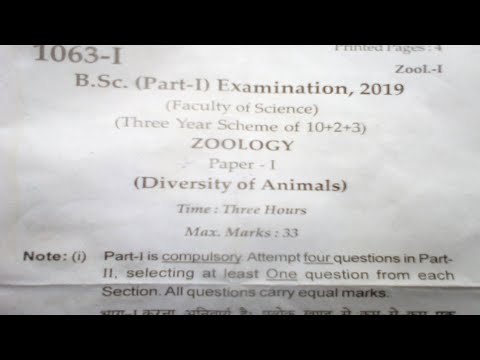 Bsc 1st Year Zoology Paper- 1 Model Paper - YouTube