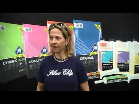 How to put together a freestyle to music dressage test with Jennifer Johnston How to put together a freestyle to music dressage test with Jennifer Johnston
