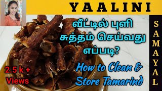 How to Clean and Store Tamarind in Home | வீட்டில் புளி சுத்தம் செய்வது எப்படி | Tamarind Process