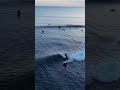 surfers in the algarve surfing at praia da luz at the rocha negra point at sunset