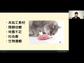 犬猫の手作りご飯の考え方【食材の基本編】