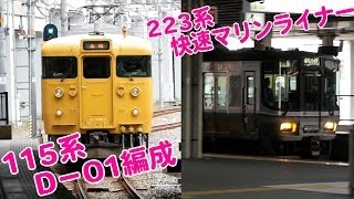 【115系D－01編成】岡山駅を115系D編成が発車続いて223系＆5000系快速マリンライナー到着！【ちょっぴりトレインTV#15】