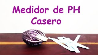 Medidor de Ph Casero y Barato