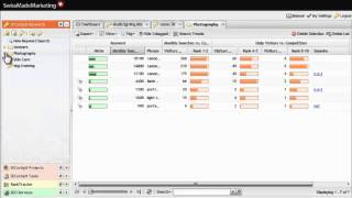SECockpit Tutorial: Keeping Your Keyword Lists Organized