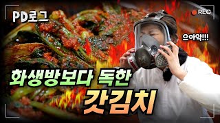 화생방보다 독한 갓김치?! | PD로그 | 27화 포기란 없다, 김치 공장 1/2 내용