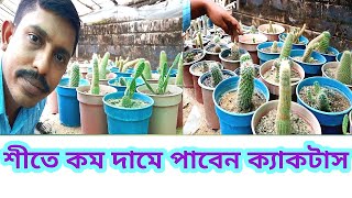 অনেক কম দামে পেয়ে যাবেন ক্যাকটাস গাছ||ক্যাকটাস|How to grow \u0026 care cactus plant?cactus/SOBUJ BASANTO