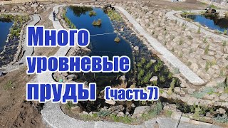 Многоуровневые пруды (часть7)