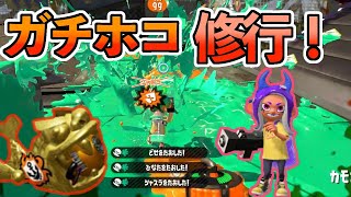 苦手克服！ガチホコ修行だ！【スプラトゥーン2/おちばシューター/ウデマエX /ガチマッチ】