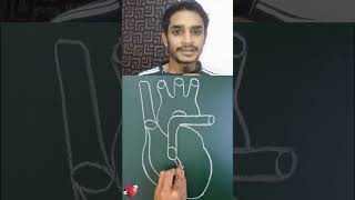 Easy heart drawing #tricks #shorts #drawing #information