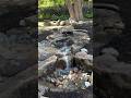 Cozy Pondless Waterfall