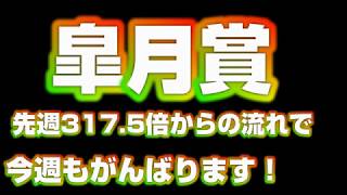 皐月賞の競馬予想.過去の傾向と出走馬分析