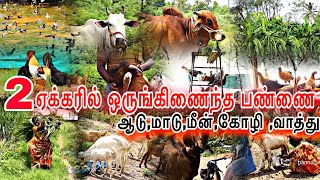 🔥 தரமான ஒருங்கிணைந்த பண்ணை // integrated farming // integrated farming system model #pannaiveedu