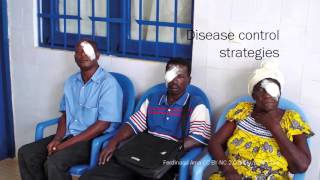 Global Blindness course: VISION 2020: The Right to Sight