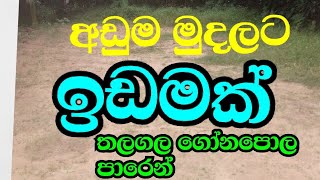 ගෝනපොල හෝමාගම පාරෙන් අඩුවට ඉඩමක්..