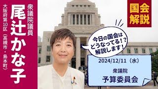 [ツイキャス] 20241211衆議院予算委員会① (2024.12.11)