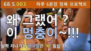 [하루5문장#003] 원어민처럼 귀가 트이고 입이 열리는 영어표현 하루 5개 정복하기 프로젝트, 68.5.003