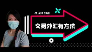 交易外汇有方法｜forex课程｜eurusd 短线交易策略 （11 AUG 2022）