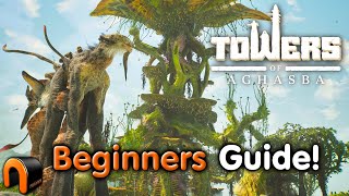 Towers of Aghasba Beginner's Guide! Survival