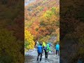 雨中紅葉散歩 秋田森吉山 桃洞滝 紅葉渓谷