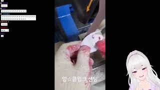 당근네는 과연 얼마나 강할 수 있을까요 (아이네 반응)