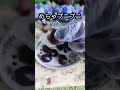 【北海道限定】コロロガラナ味！ shorts コロロ グミ 北海道限定