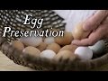The Top 6 Historical Egg Preservation Techniques! The Top 6 Historical Egg Preservation Techniques!