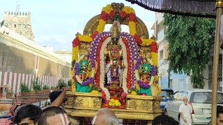 Sri Parthasarathy Swamy Thai  Ekadasi Purapadu