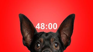 48 Minute Timer for School & Homework Dog Bark Alarm Sound Improve Focus & Productivity