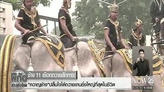 News ช้าง 11 เชือกถวายสักการะ