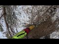 logging of spruce on a slope in a new growth stihl 261c m zetor amles work in the forest dji