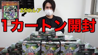 【遊戯王】25th新弾デュエリストネクサスを1カートン開封してみた