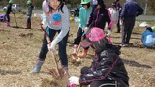 スクスク育て、芦別小児童がヤチダモを植樹