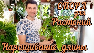 ОПОРА ДЛЯ РАСТЕНИЙ /КАК НАРАСТИТЬ ДЛИНУ ОПОРЫ /КАК ЗАКРЕПИТЬ ОПОРУ В ГОРШКЕ