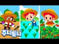 농부🧑‍🌾🌾 | 우리가 매일 먹는 쌀과 과일!🍅 어떻게 자라나요? | 뿌리고, 키우고, 거두고 | 벼농사, 밭농사 | 직업체험 | 직업동요 | 주니토니 | JunyTony