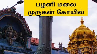 பழனி மலை முருகன் கோயில் | Palani Murugan temple | Nature vloge |