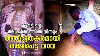 OMG! Vava Suresh narrowly escapes Cobra Bite | Kaumudy TV