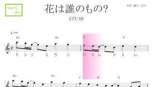 花は誰のもの（STU48)  key=C/Am　／ドレミで歌う楽譜【コード付き】