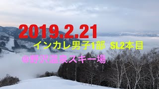 [アルペンスキー] 2019男子インカレ1部  SL2本目 @ 野沢温泉スキー場