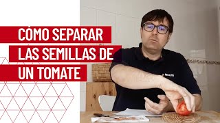 Cómo separar las semillas de un tomate para poder sembrarlas con Bellota