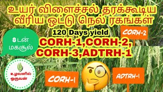 உயர் விளைச்சல் தரக்கூடிய வீரிய ஒட்டு நெல் ரகங்கள் CORH-1,CORH-2,CORH-3,ADTRH-1...