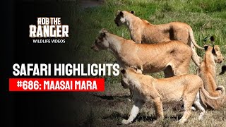 Safari Highlights #686: 09 April 2022 | Lalashe Maasai Mara | Latest #Wildlife Sightings