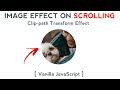 Clip-path Transform Effect on Scrolling | HTML, CSS & Vanilla JavaScript